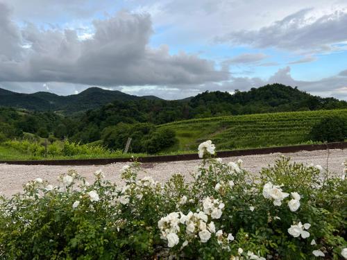 Cavaso del TombaにあるThe Music Country Houseのギャラリーの写真
