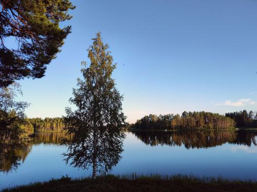 a tree standing in the middle of a lake at Magisch berghuisje met uitzicht op Nationaal Park Fulufjället in Sörsjön
