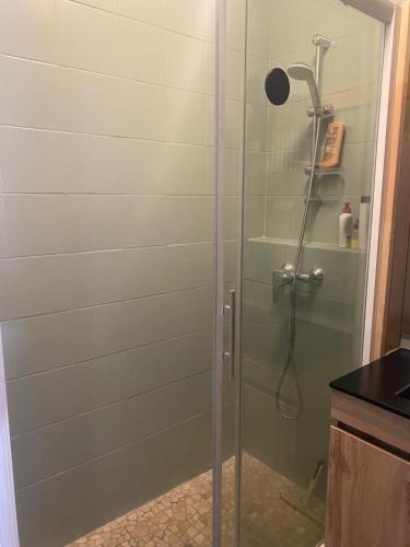 une douche avec une porte vitrée dans une salle de bain dans l'établissement Lolivier, au Grau-du-Roi