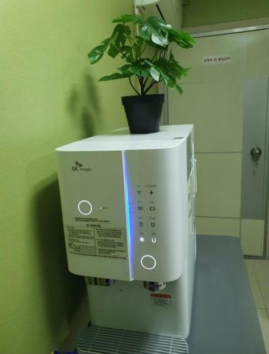 a potted plant on top of a refrigerator at Residence Stay Avenu in Ulsan