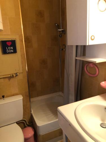 a bathroom with a shower and a toilet and a sink at joli studio montagne au pied des pistes in Allos
