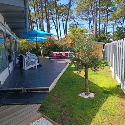 a patio with a tree and a blue umbrella at La Villa du Grand Large in Biscarrosse
