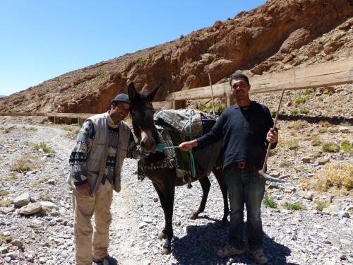 two men standing next to a donkey in the desert at Auberge Amazigh in Tamtetoucht