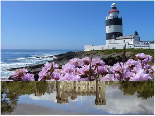 a lighthouse with pink flowers in front of the water at The Conifers Studio Apartment With Private Garden in Wexford