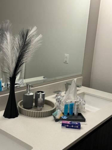 a bathroom counter with a sink with a mirror at Giaviana's in Atlanta