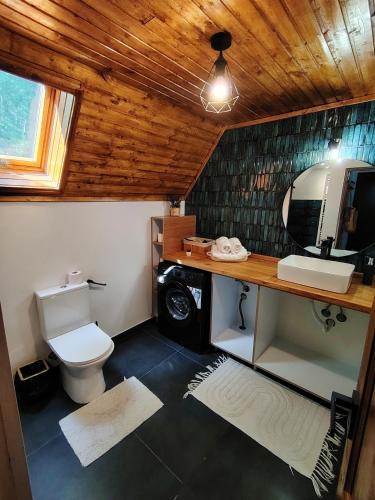 a bathroom with a toilet and a sink and a mirror at Cabana A Brezoi in Brezoi