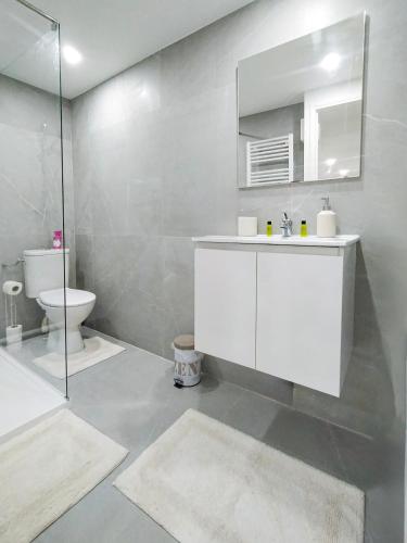 une salle de bain blanche avec un lavabo et des toilettes dans l'établissement Refuge cosy au cœur de Romans, à Romans-sur-Isère