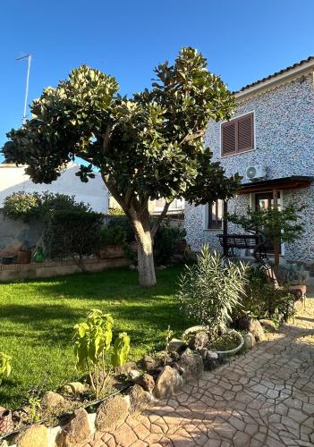 a tree in the yard of a house at Casa Mammai in San Sperate