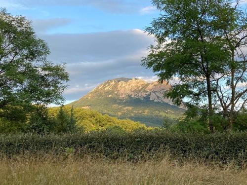 a mountain in the distance with trees in the foreground at Jolie cabane avec vue magique sur la montagne in Bugarach