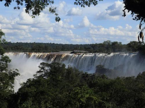 a view of a waterfall in the jungle at Curiango Bird Camp in Puerto Iguazú