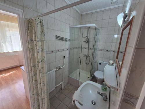 Koupelna v ubytování Roxanna Apartman