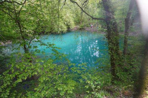 a blue pond in the middle of a forest at Villa Menore rural gîte in the Haute Saône in Menoux