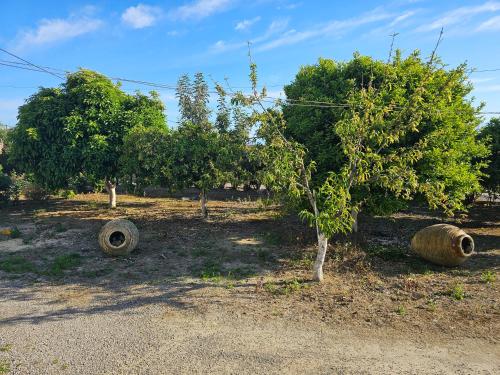 Φωτογραφία από το άλμπουμ του Vista Koroni - Sea View Apartment Over Olive Grove and Mountains στην Κορώνη