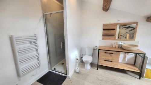 une salle de bain avec une douche, des toilettes et un lavabo dans l'établissement Joli appartement meublé tout équipé, à Béziers