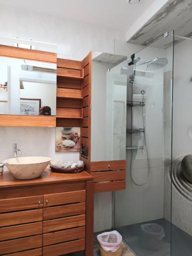 une salle de bain avec un lavabo et une douche dans l'établissement Maison Port de la Côtinière à 150m de la plage, à Saint-Pierre-dʼOléron