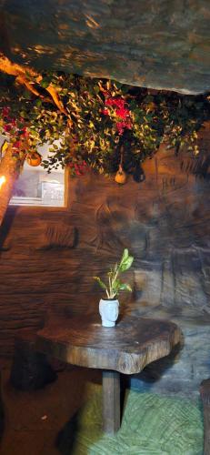 a potted plant sitting on a wooden table at S & B Dreams House in Munnar