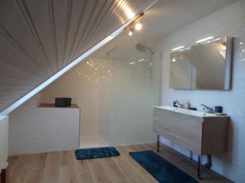 une salle de bain avec un lavabo et un miroir dans l'établissement Gîte Chez Léon, à La Chaze-de-Peyre