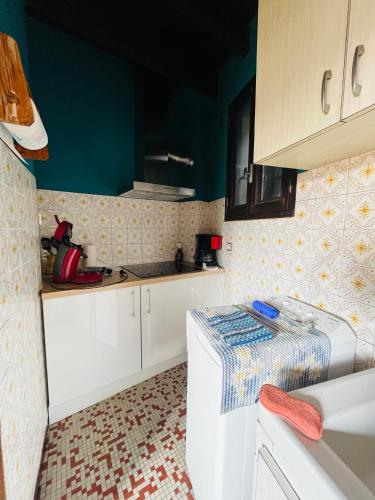 a kitchen with white cabinets and green walls at Chez Routcho in Saint-Sauveur-de-Peyre