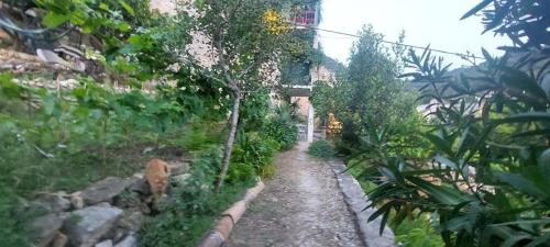 a path in a garden with trees and a building at Stunning view-Maleni in Vis