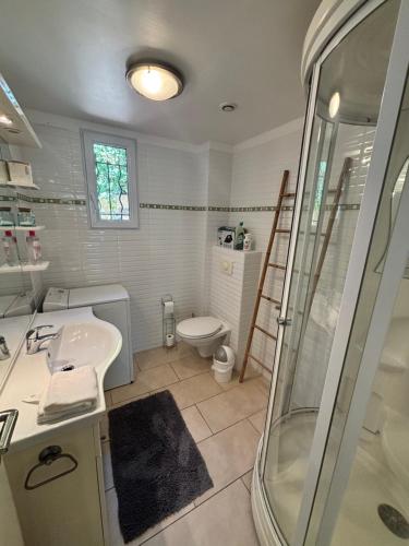 une salle de bain avec une douche, un lavabo et des toilettes dans l'établissement Le Cocon du sud proche plage Renecros, à Bandol