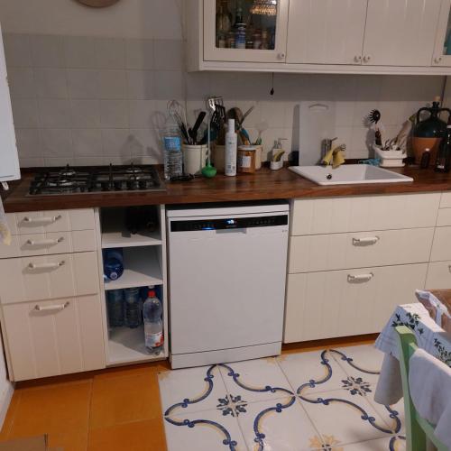a kitchen with a stove and a white dishwasher at Villa Lucky in Punta Prosciutto