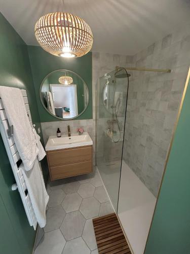 une salle de bain avec une douche, un lavabo et un miroir dans l'établissement Appartement 2 Pièces Rénové avec Terrasse et Garage, à Cannes