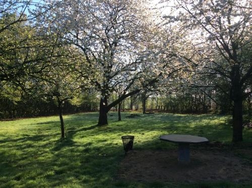 a picnic table in the middle of a park with trees at The Secret Garden in Herentals