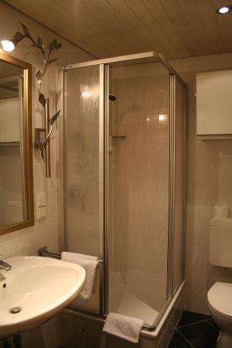 a bathroom with a shower and a sink at Cafe Steffens in Hahnenklee-Bockswiese