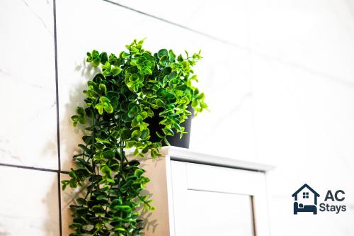 a green plant sitting on top of a cabinet at West House 4-bed Perfect for Contractors, Groups and Families in West Bromwich