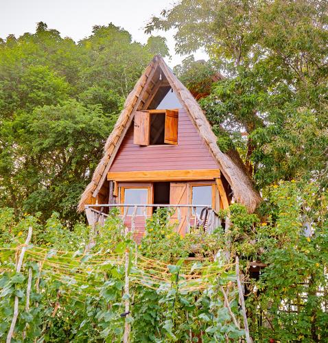 Wisdom Camping and Glamping