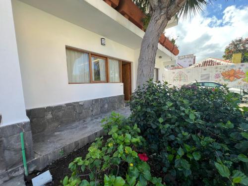 ein Haus mit einem Fenster und einem Baum und Büschen in der Unterkunft Oasis del Puerto Spacious Premium Apartment in Puerto de la Cruz