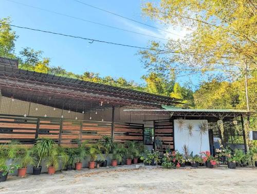 a building with potted plants in front of it at Bonjorge Homestay- Helen, Larena,Siquijor in Larena