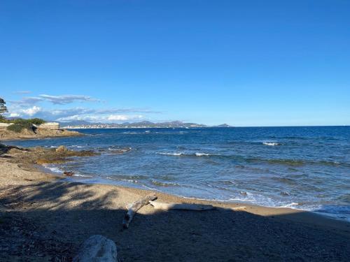 una sucursal en la orilla de una playa en Balneo Clim Terrasse et Parking Relaxation Guarantie, en Fréjus