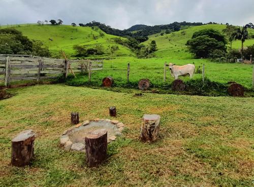 Landskap semula jadi dekat dengan perkhemahan mewah
