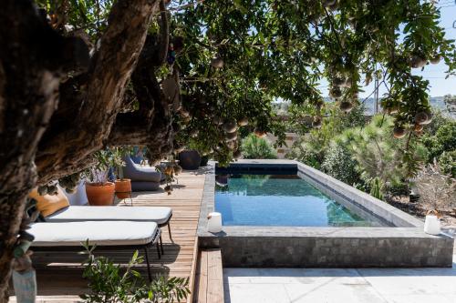 a swimming pool in a garden with a tree at BURGUNDY house in Grândola