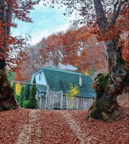 Un paisaje natural cerca de la villa
