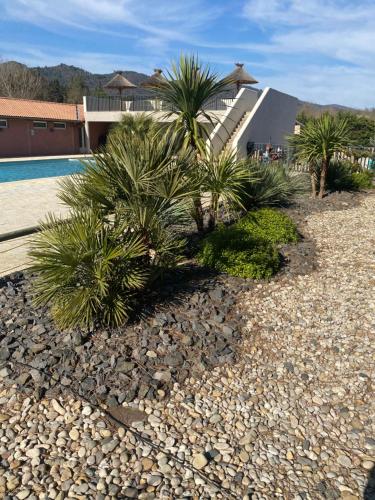 a row of palm trees in a gravel yard at Camping 3 étoiles l'Albanou Chic in Le Pouzin