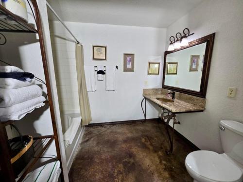a bathroom with a toilet and a sink and a mirror at Fredericksburg Retreat Hot Tub & Backyard Escape in Fredericksburg