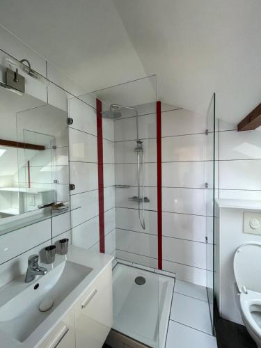Un baño blanco con lavabo y ducha. en Les Hauts du Lac, en Gérardmer