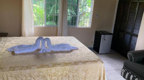 Gallery image of Chaudhry Second Floor Single Suite in Montego Bay