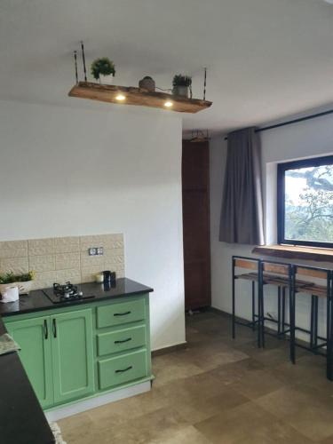 Kuchyň nebo kuchyňský kout v ubytování Alex House