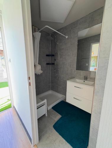 une salle de bain avec douche et lavabo dans l'établissement Andromède, à Ensuès-la-Redonne