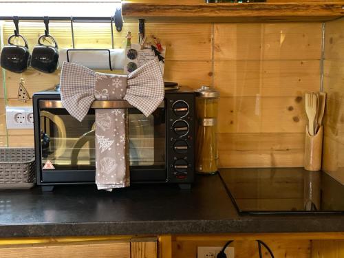 a microwave on a counter in a kitchen at Skroviste, Zlatibor-Vodice in Zlatibor