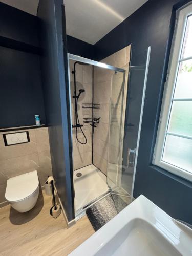 une salle de bain avec douche et toilettes dans l'établissement Maison de ville Saumur, à Saumur