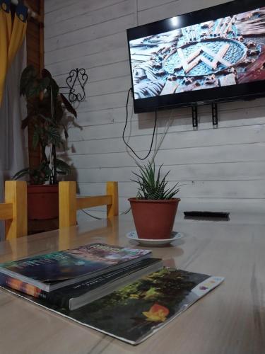 Μια τηλεόραση ή/και κέντρο ψυχαγωγίας στο Meli Antú