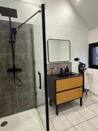 une salle de bain avec un lavabo et une douche avec un miroir dans l'établissement A la ferme - Colline Beaumont, à Colline-Beaumont