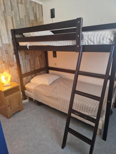 a bunk bed with a ladder next to a bunk bed at Studio les pieds dans l'eau in Cap d'Agde