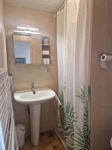 a bathroom with a sink and a shower curtain at Studio les pieds dans l'eau in Cap d'Agde