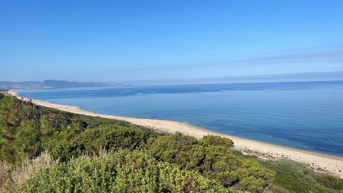 a view of a beach with trees and the ocean at Da Marta Appartamento VISTA MARE MOZZAFIATO ISOLA ROSSA in Cascabraga