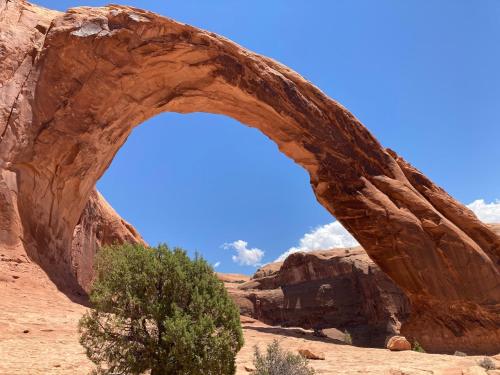 an arch in a rock formation in the desert at Moab Views, Pool, Hot Tub, Natl Parks in Moab